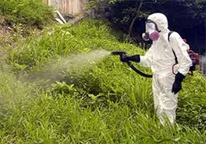 Insecticide ce este și modul de utilizare de droguri, în scopul de a obține rezultate