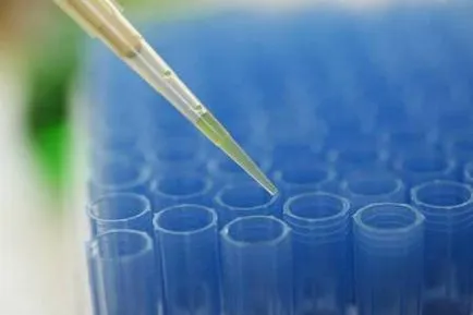 Embryo timp implantare si semne de implantare după FIV (embrion) Embryo timp implantare si semne de implantare dupa FIV