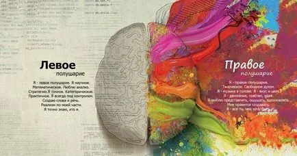 Cele mai potrivite Consecințele accident vascular cerebral emisfera - tratamentul inimii (dreapta) Cele mai potrivite Consecințele accident vascular cerebral emisfera - Tratamentul Inimii
