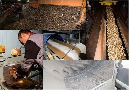 Din care zahărul este produs în lume