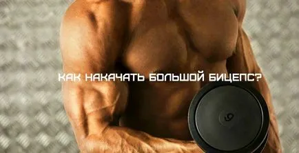 Cum se umflate rapid și corect biceps mare