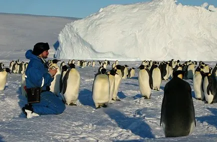 Așa cum se schimbă oamenii antarctica - planeta Rusă