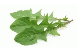 Cum sa scapi de pistrui la domiciliu și a le elimina de pe fata