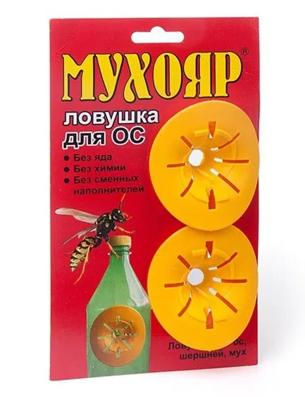 Cum să scapi de Hornets - produse chimice și capcane mecanice (chimice) Cum să scapi de Hornets - produse chimice și capcane mecanice