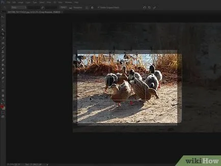 Cum de a decupa imagini (fotografii) Cum să decupați fotografiile