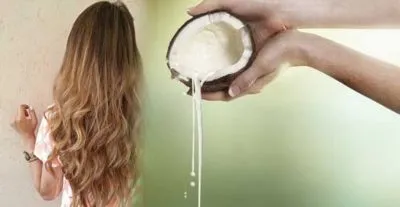 Cum se aplica ulei de nucă de cocos pe părul în mod corespunzător și în mod rezonabil (ulei) Cum se aplica ulei de nucă de cocos pe părul în mod corespunzător și în mod rezonabil