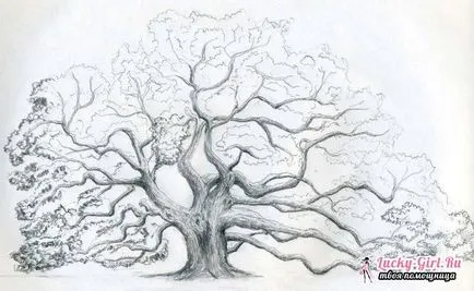 Cum de a desena un copac-pas sfaturi