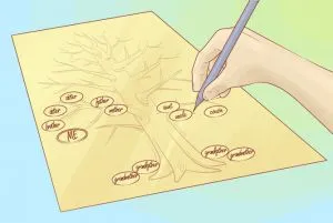 Cum de a desena un arbore genealogic (desena un arbore genealogic) Cum de a desena un arbore genealogic