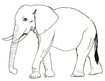 Cum de a desena un elefant