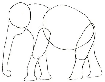 Cum de a desena un elefant