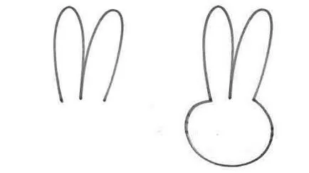 Cum să elaboreze un iepure