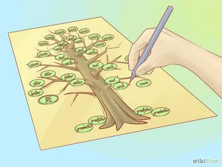 Cum de a desena un arbore genealogic