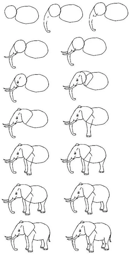 Cum de a desena un elefant