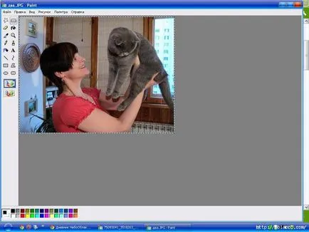 Cum se pot combina două imagini în vopsea (campanie de alfabetizare de calculator) Cum se pot combina două imagini în vopsea