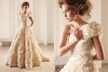 Ce rochie colorate șampanie rochie de mireasa si rochii de mireasa de culoare fildeș