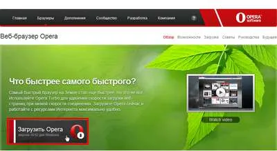 Cum se dezactivează flash-animație în operă, Flashblock • ferestre de lecții pentru începători