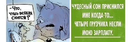 Ca răspuns original la întrebarea de ce nu dormi