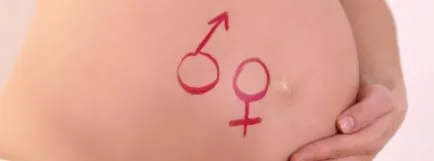 Cum de a determina sexul copilului prin semne (aflați încă născut) Cum de a determina sexul copilului prin semne