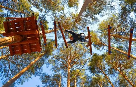 Cum de a aranja priza (aranja) Cum de a organiza absolvire