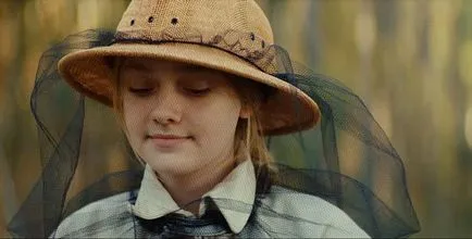 Cum albinele fac miere, timp de colectare a mierii ca mierea colectată de albine, video (fluxul de miere) Cum albinele fac miere, timp de colectare a mierii ca mierea colectată de albine, video