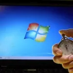 Cum de a conecta laptop-ul la laptop, toate răspunsurile aici (laptop) Cum de a conecta laptop-ul la laptop, toate răspunsurile aici
