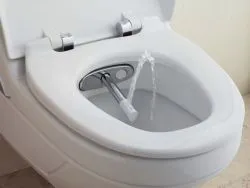 Cum să utilizați un bideu