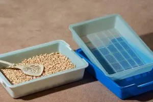 Cum să utilizați o tavă cu grila (grid) pentru pisici (pisici adulte) pisici Cum să utilizați o tavă cu grila (grid) pentru pisici