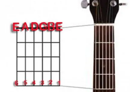 Cum să utilizați un tuner pentru chitară, guitarprofy