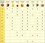 Cum de a găti gratar, articole de gătit, Grand Chef