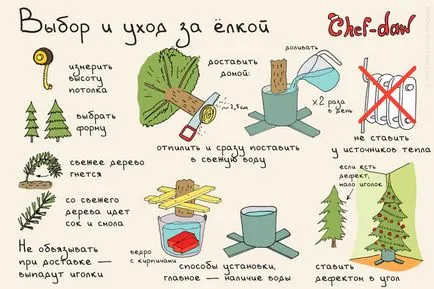 Cum de a pune bradul de Crăciun