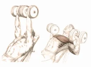 De asemenea, aveți posibilitatea să umfle mușchii pectorali (pompa) De asemenea, aveți posibilitatea să umfle mușchii pectorali