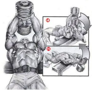 De asemenea, aveți posibilitatea să umfle mușchii pectorali (dreapta) De asemenea, aveți posibilitatea să umfle mușchii pectorali