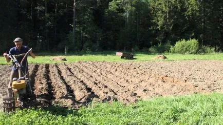Cum să opereze Tiller (dreapta) Cum să opereze cultivatoare