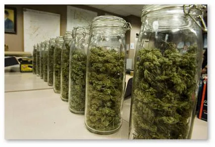 Cum să se usuce și de a fi tratat marijuana - totul despre cultivarea de canabis, semințe de cânepă, și chiar