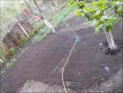 Cum de a planta funcționează o tehnologie de gazon iarba de la profesioniști (cum să planteze iarba de gazon) Cum de a planta funcționează o tehnologie de gazon iarba de la profesioniști