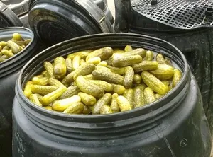 Cum să se pregătească saramura pentru muraturi, murate, butoi, bazate pe 1 litru de apă (butoi) Cum să se pregătească saramura pentru muraturi, murate, butoi, bazate pe 1 litru de apă
