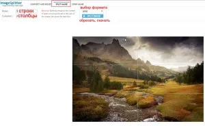 Cum să taie fotografii online