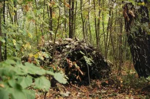 Cum să înființeze tabără și de a construi un adăpost temporar - supraviețuire în sălbăticie și extreme