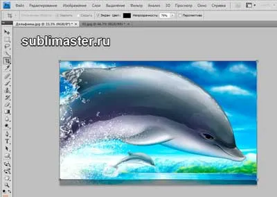 Cum se taie în bucăți imaginea în Photoshop, sublimaster
