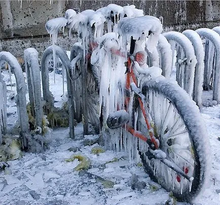 Cum să-și petreacă vacanța de vară cu un copil