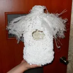 Cum sa faci un copac dintr-o sticla de plastic (sticla) Cum sa faci un copac dintr-o sticla de plastic