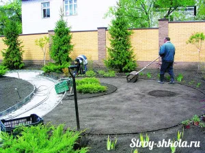 Cum de a planta iarba de gazon cu mâinile sale de tehnologie, video, fotografii (plante) Cum de a planta iarba de gazon cu mâinile sale de tehnologie, video, foto