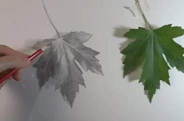 Cum de a desena umbre desen tijă (desena) Cum de a desena elementele de bază de desen umbre