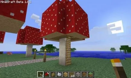 Cum sa faci o casa Minecraft într-o frumoasă și de încredere