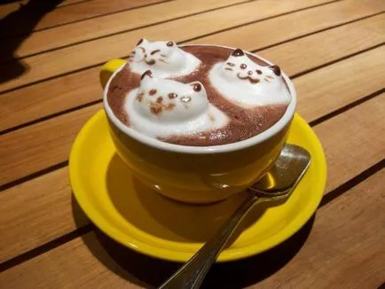 Cum să se bazeze pe formarea de cafea latte arta, șabloane (latte art) Cum să se bazeze pe formarea latte art, șabloane