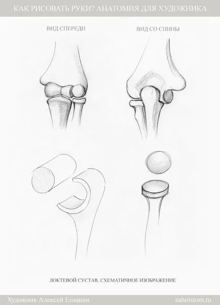 Cum să atragă mâinile anatomie pentru artist (mână) Cum de a desena mâini Anatomia pentru artiști