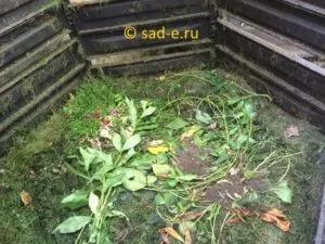 Cum sa faci compost, toate plantele