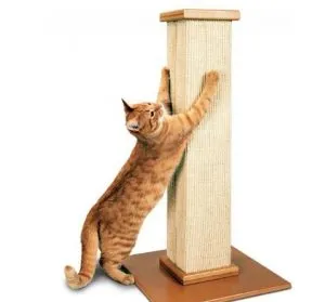Cum sa faci un post scratching pentru pisica cu propriile sale mâini (50 poze) kogtedralka din lemn, cu o casa dryapka (do) Cum sa faci un post scratching pentru pisica cu propriile sale mâini (50 poze) kogtedralka din lemn, cu o casa dryapka