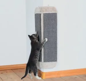 Cum sa faci un post scratching pentru pisica cu propriile sale mâini (50 poze) kogtedralka din lemn, cu o dryapka casa (pisica) Cum sa faci un post scratching pentru pisica cu propriile sale mâini (50 poze) kogtedralka din lemn, cu o casa dryapka