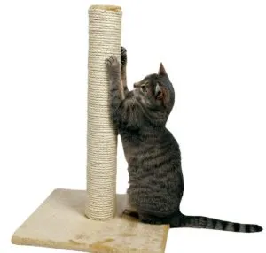 Cum sa faci un post scratching pentru pisica cu propriile sale mâini (50 poze) kogtedralka din lemn, cu o dryapka casa (lor) Cum sa faci un post scratching pentru pisica cu propriile sale mâini (50 poze) kogtedralka din lemn, cu o casa dryapka
